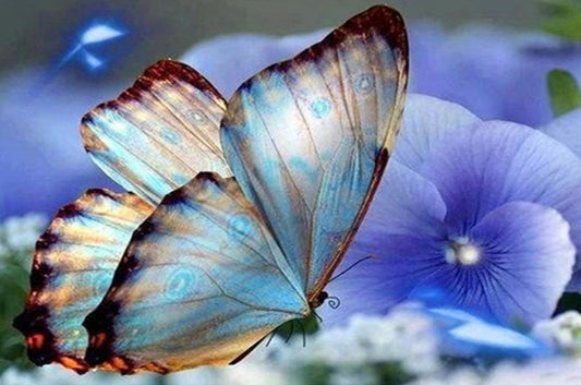 Blue Orchids & Butterfly Paint by Diamonds