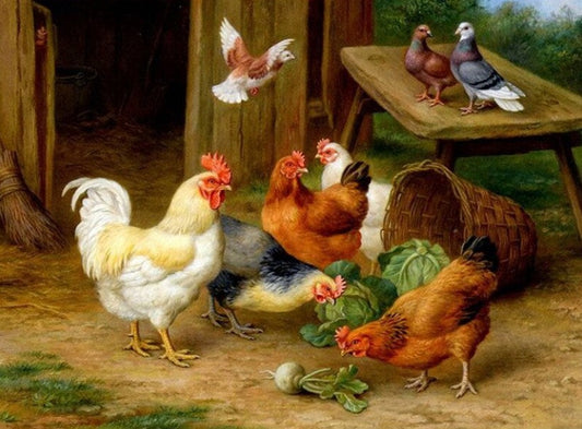 Chickens & Pigeons Paint by Diamonds