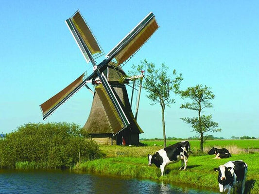Cows Diamond Painting Kit