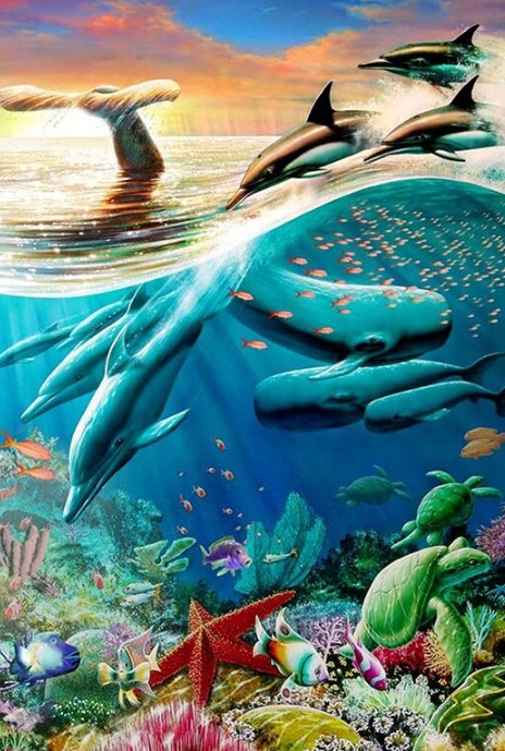 Killer Whales & Dolphins Paint by Diamonds