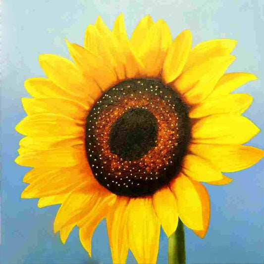 5D Diamond Painting Kit