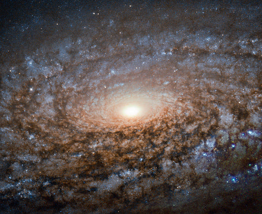 Woolly Galaxy Diamond Painting Kit