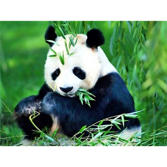 Adorable panda diamond painting kit